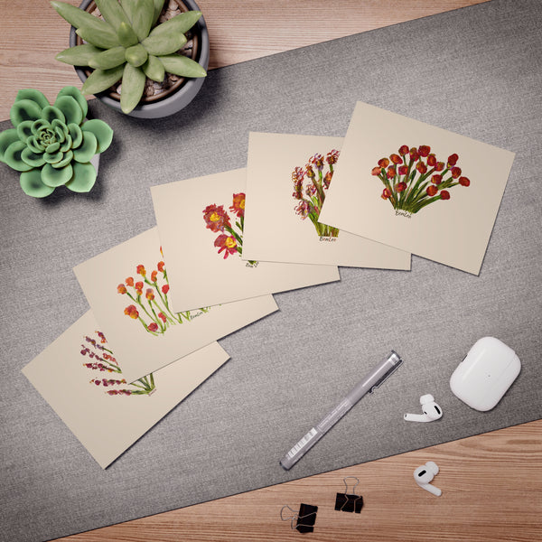 Whimsical Garden Multi-Design Greeting Cards (5-Pack)