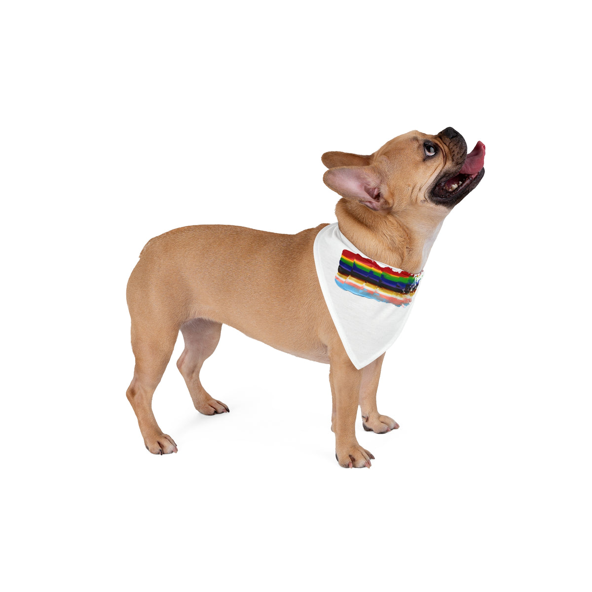 Pride 2024 Pet Bandana